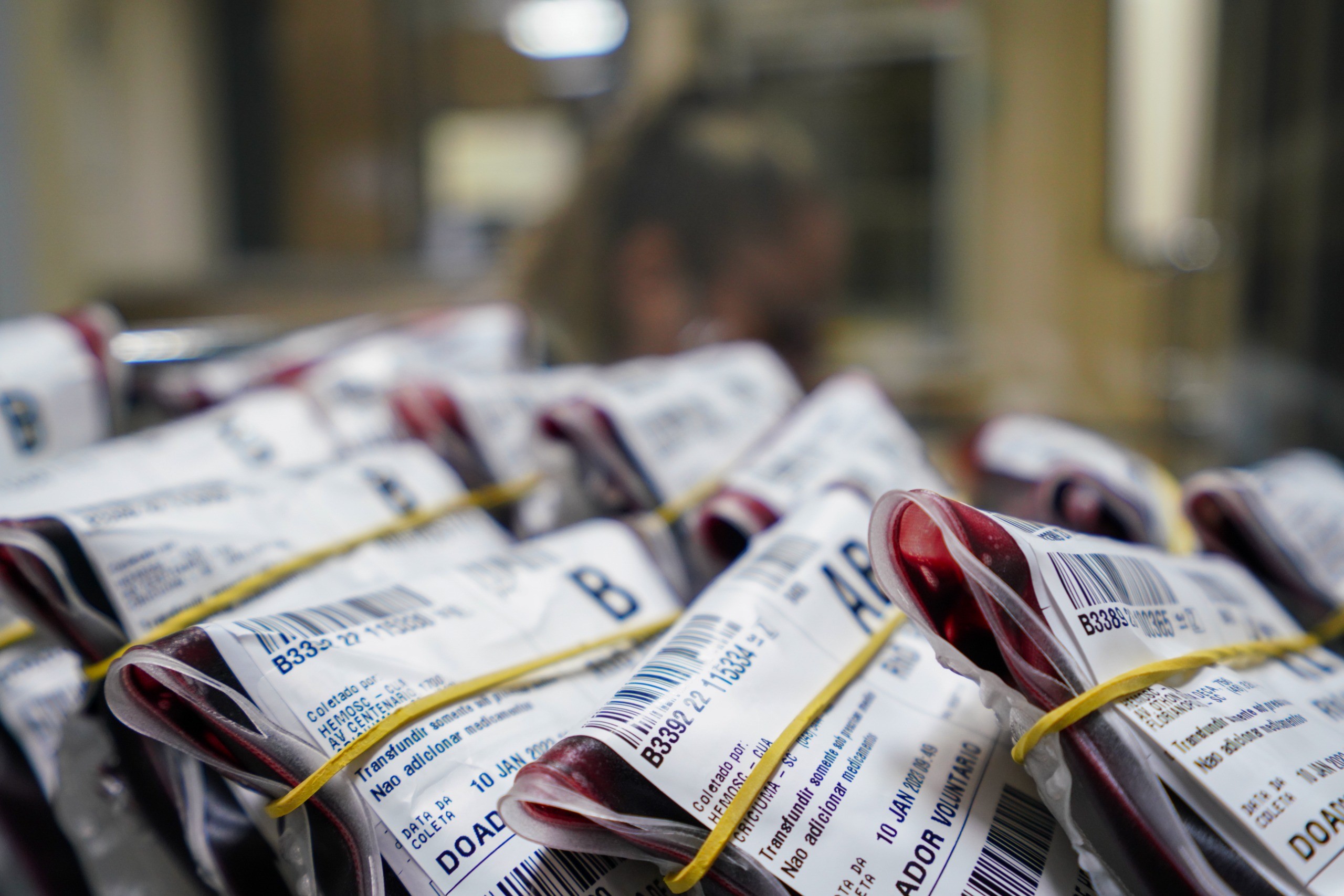 SC começa a adotar novos critérios para doação de sangue; veja o que muda