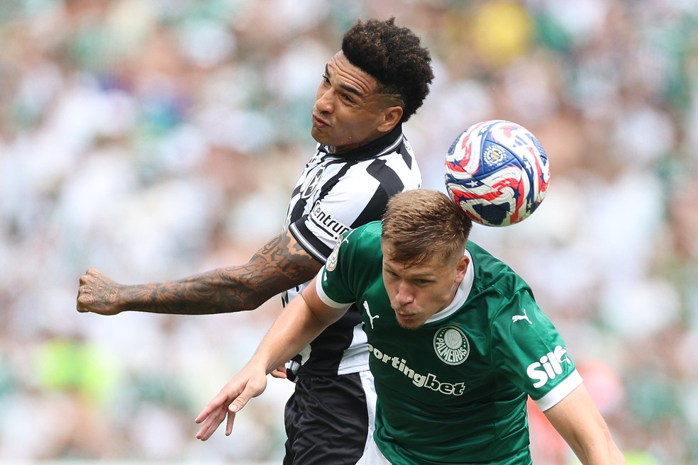 Palmeiras garantiu a vaga nas quartas de final com vitória sobre o Botafogo — Foto: Vitor Silva / Botafogo