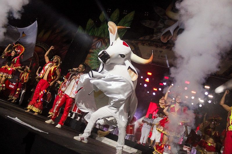 Boi Garantido lança álbum 'Parintins: Portal do Encantamento' em evento no Sambódromo de Manaus neste sábado