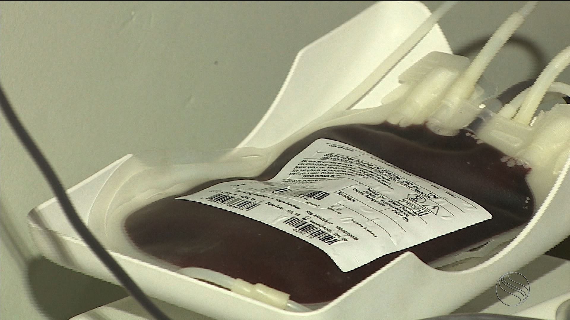 Tatuagem, piercing e idade: Hemose adota novas regras para doação de sangue; veja o que muda