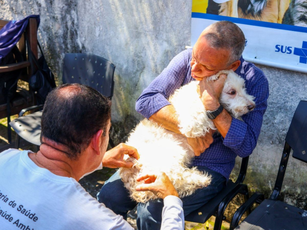 Vacinação antirrábica em Angra dos Reis começa nesta terça; confira os locais