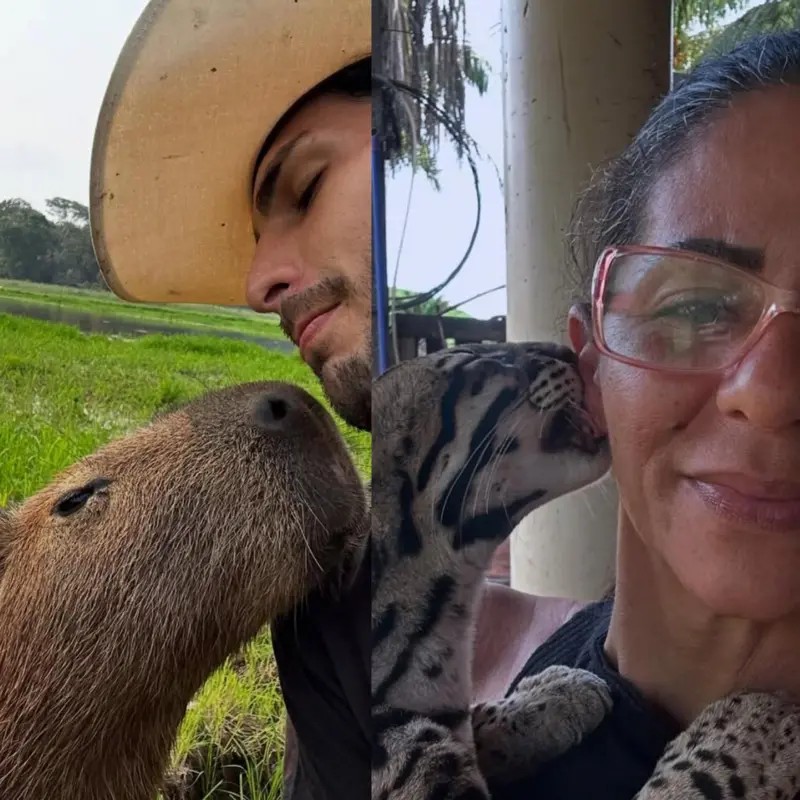 Os influencers que ganham fama exibindo animais selvagens como pets
