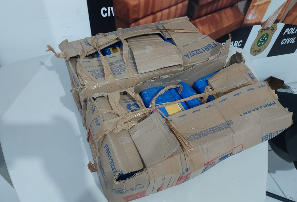 Droga apreendida em casa de Nossa Senhora do Socorro — Foto: Denarc