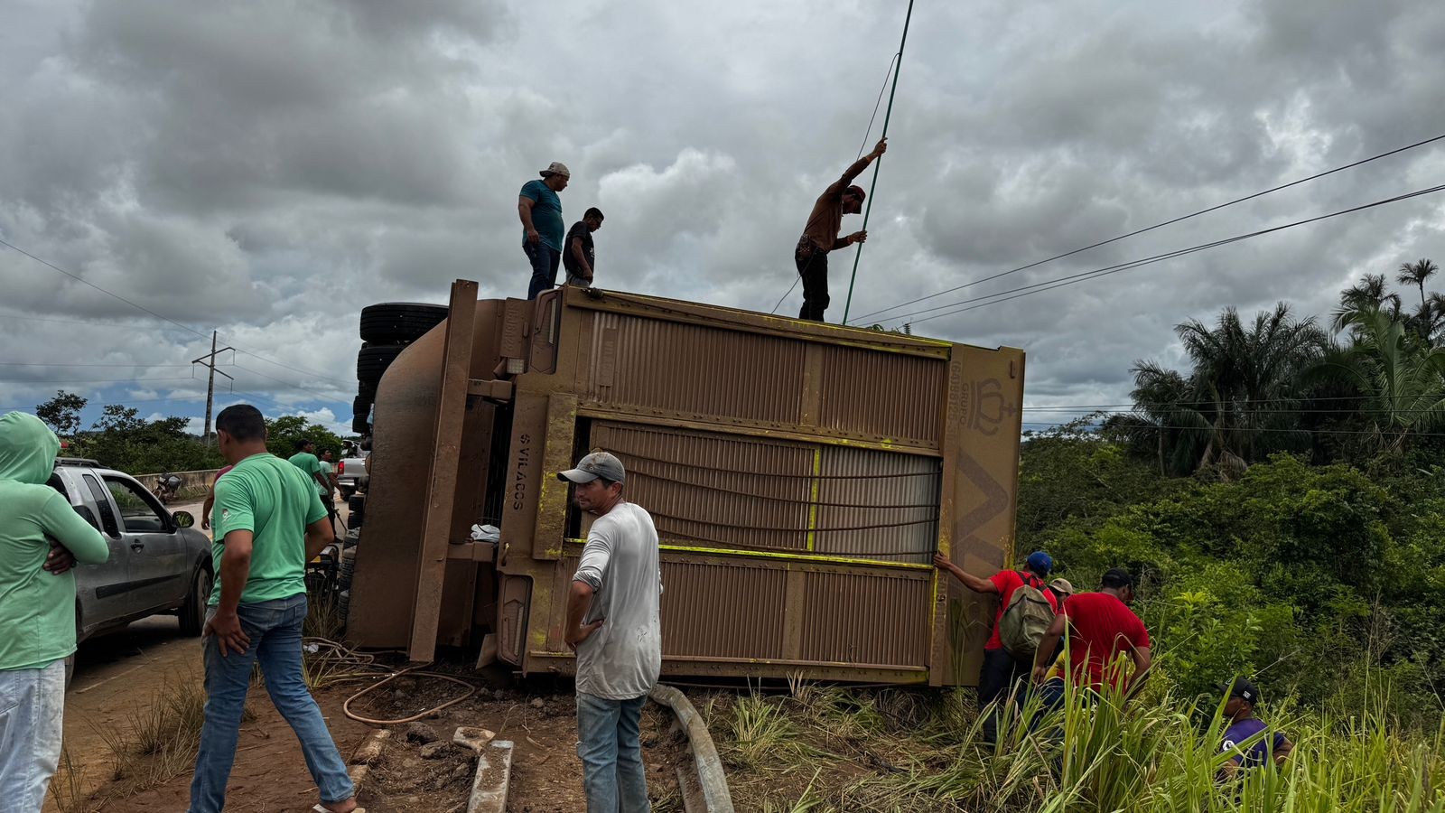 Carreta que transportava bois tomba na PA-279, em Água Azul do Norte