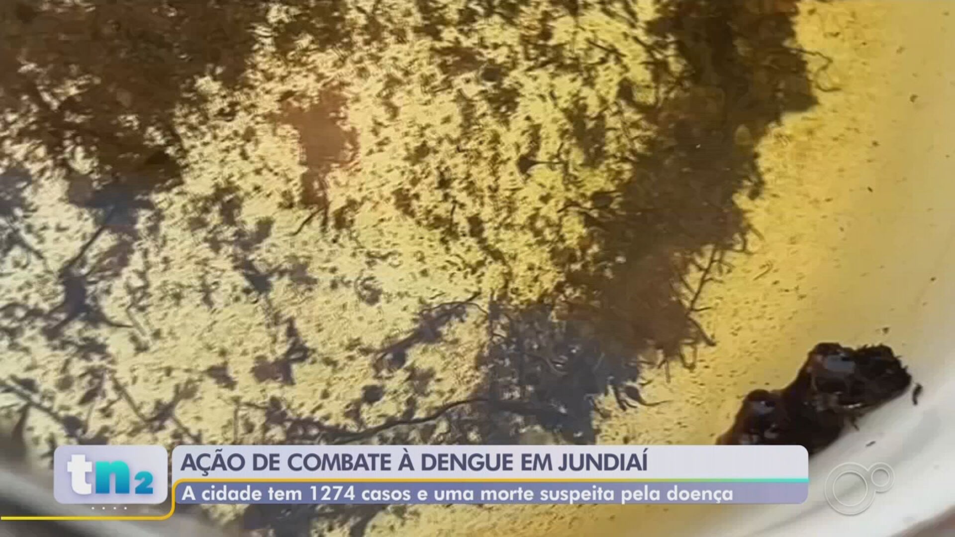 Soldados do Exército e agentes de saúde reforçam ações contra a dengue após alta de casos em Jundiaí
