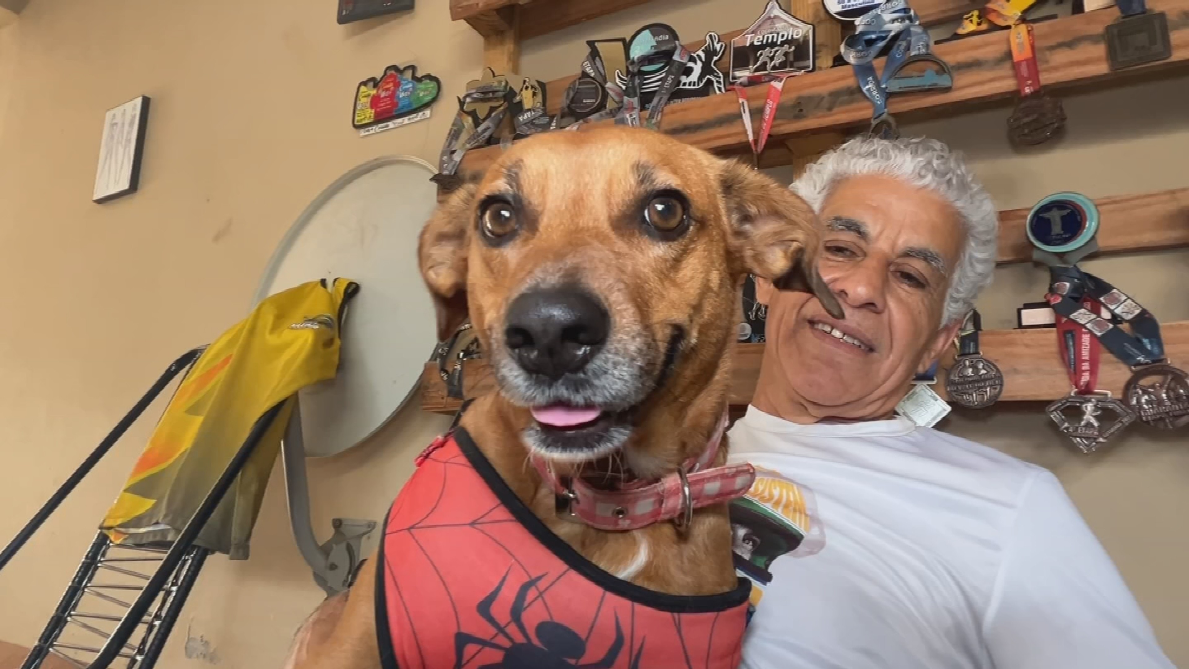 ‘Autleta’: cachorra vira dupla de corredor de 61 anos em provas no interior de SP