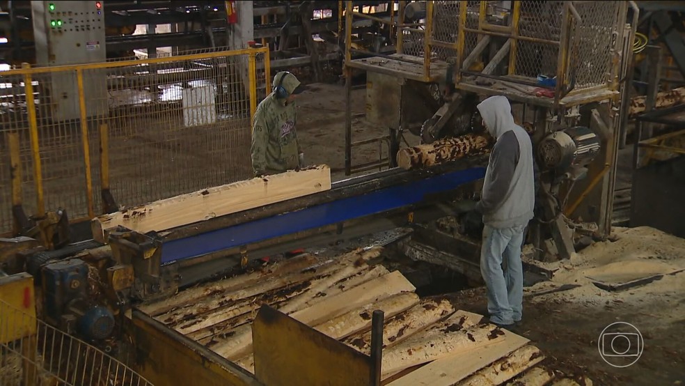 Tarifaço inviabiliza exportações de madeira gaúcha para os EUA — Foto: Reprodução/TV Globo
