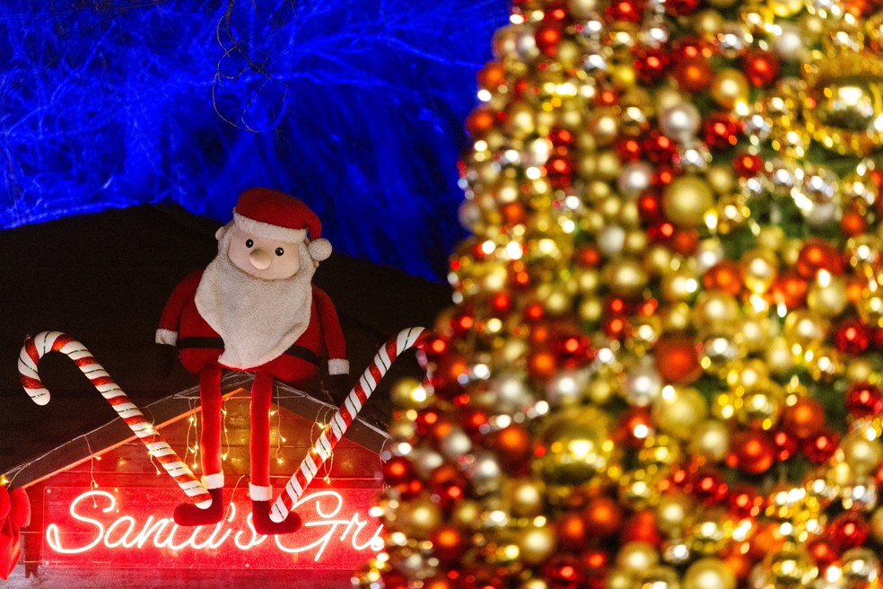 Figura de Papai Noel ao lado de árvore em um mercado de Natal em Pequim (China) em 20 de dezembro de 2025. — Foto: Maxim Shemetov/Reuters