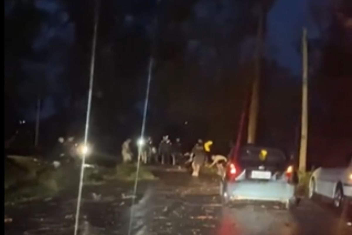 Chuva derruba árvores e motoristas se mobilizam para limpar estrada entre Monte Alegre do Sul e Serra Negra