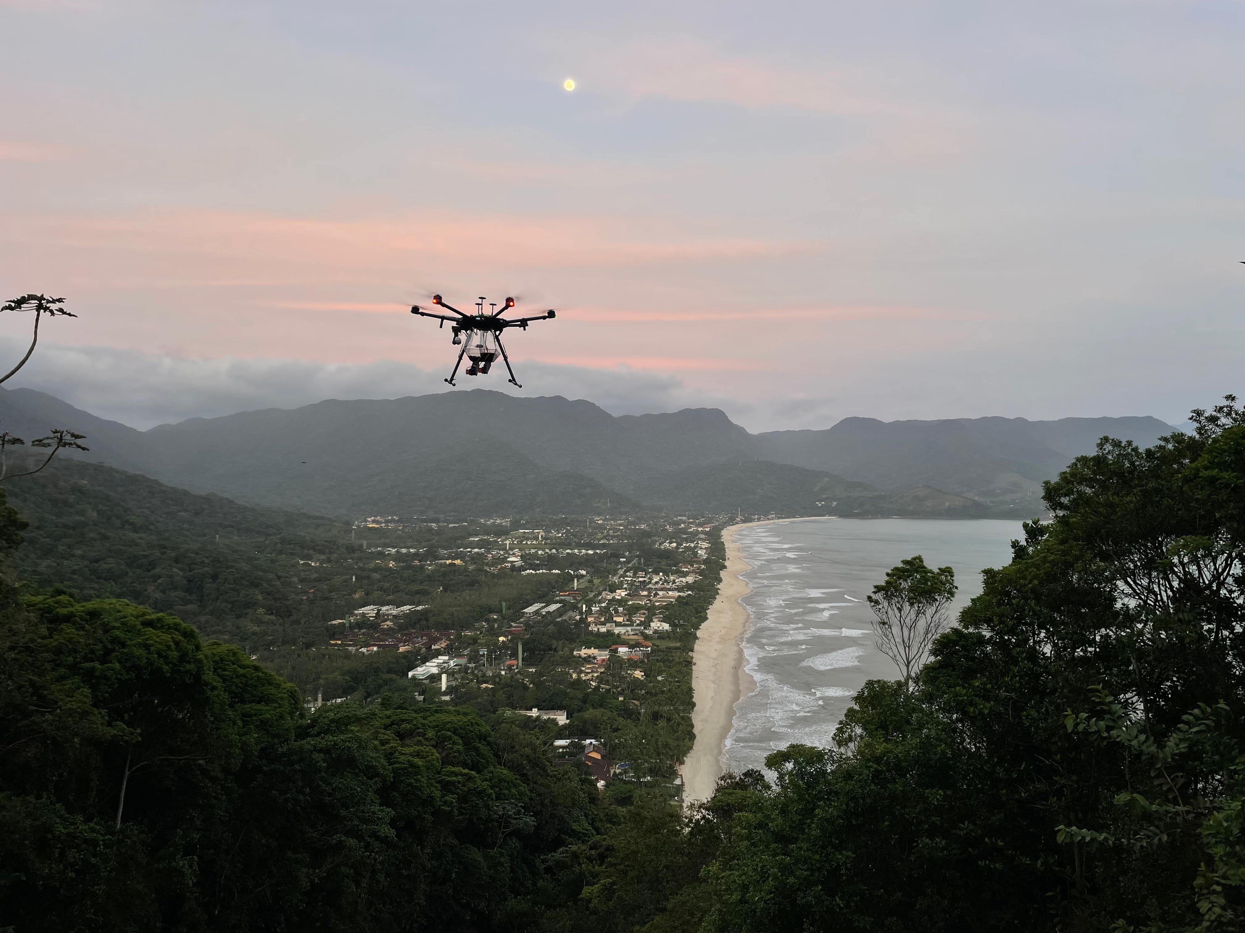 Drones espalham milhões de sementes para devolver vegetação a encostas destruídas em SP