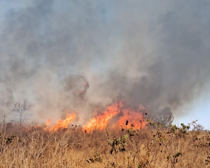 Jovem tem parte do corpo queimado ao tentar apagar incêndio em assentamento de Uberlândia