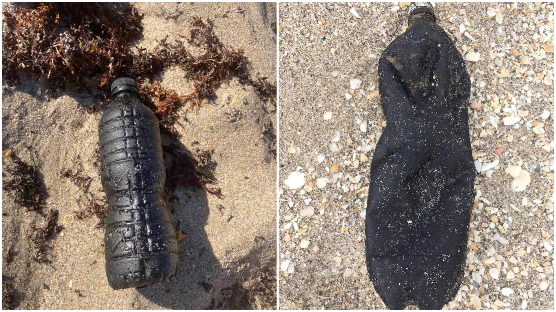 Óleo derramado no Nordeste em 2019 viajou mais de 8 mil quilômetros e chegou à Flórida, diz pesquisa 