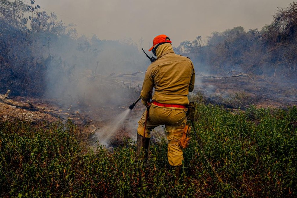 Mato Grosso registrou o maior número de focos de incêndio do Brasil em abril de 2024 — Foto: Mayke Toscano/Secom-MT