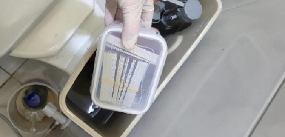 Cartões encontrados dentro de vaso sanitário durante operação da Polícia Federal.  — Foto: Polícia Federal/Divulgação