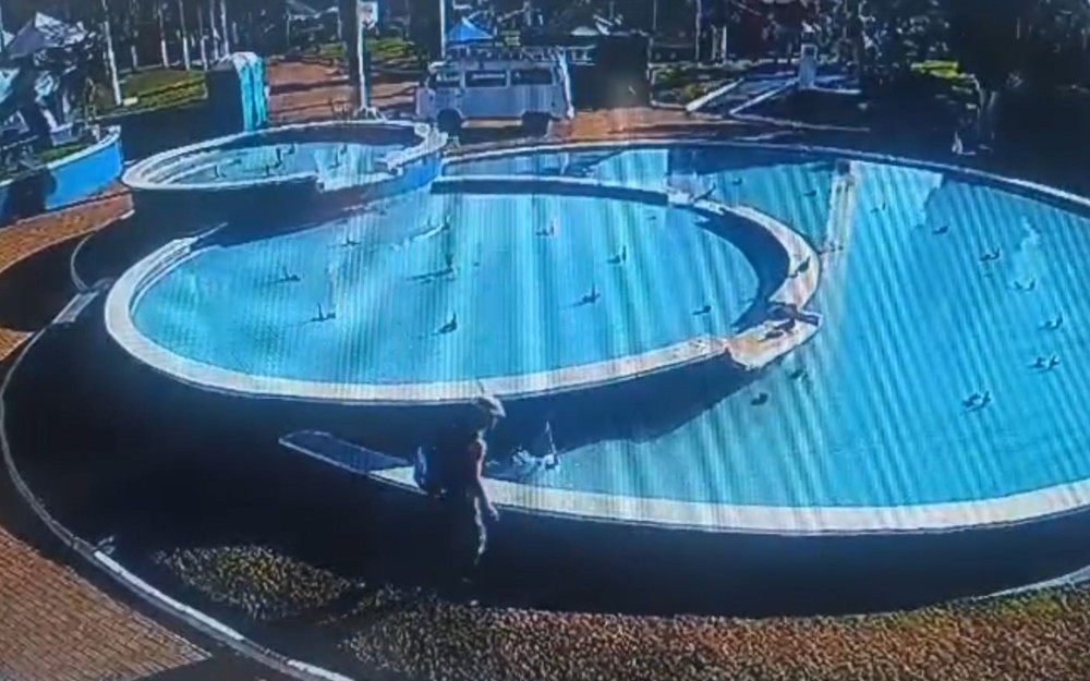 Homem arremessa cachorra filhote dentro de fonte de água em praça no interior de SP