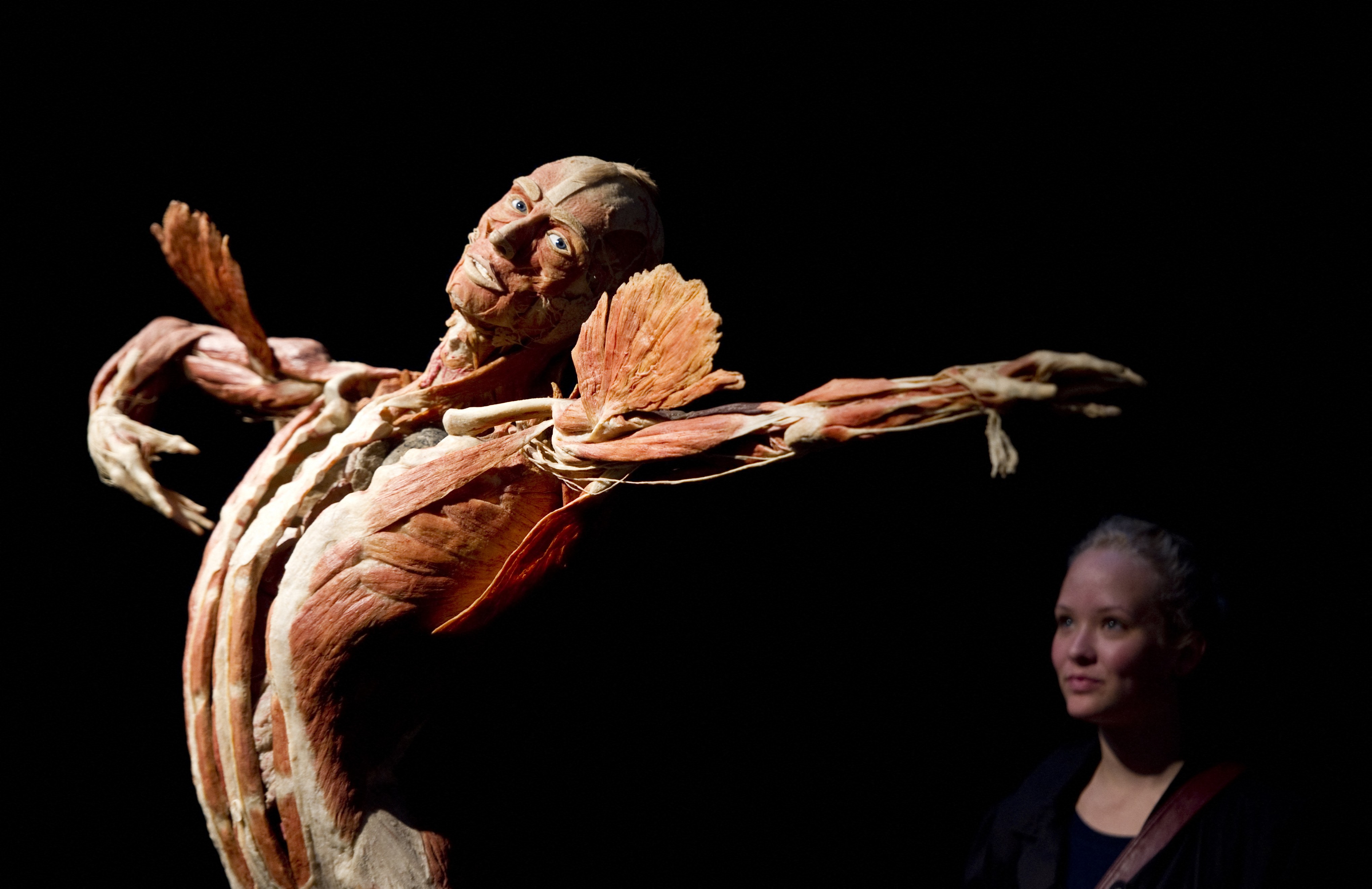 Morre o criador de famosa exposição de cadáveres humanos; seu corpo será preservado com a técnica que inventou
