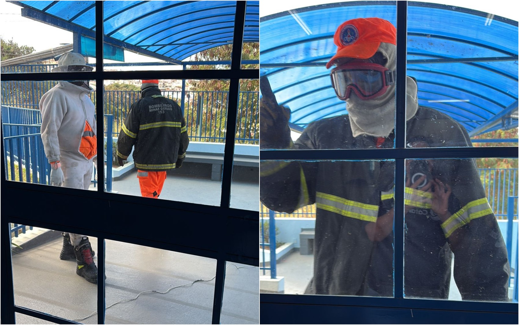 Enxame de abelhas assusta crianças e funcionários em colégio de Varginha; aulas foram suspensas