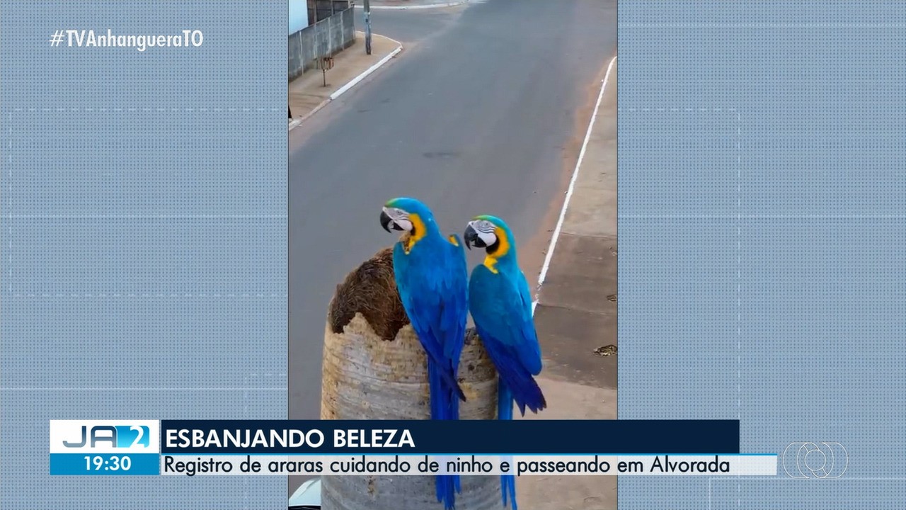 VÍDEOS: Jornal Anhanguera 2ª Edição-TO de quarta-feira, 23 de setembro de 2026