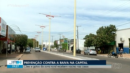 Cães e gatos da zona rural recebem vacina contra a raiva em casa