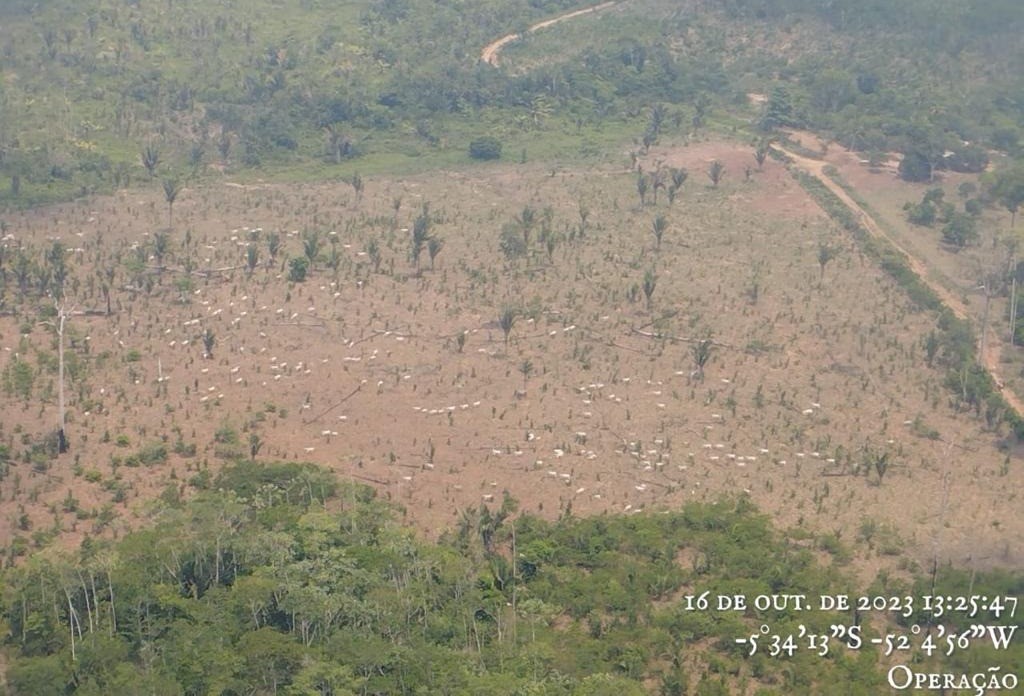 Adepará cancela registros de fazendas ilegais na Terra Indígena Apyterewa após recomendação do MPF 