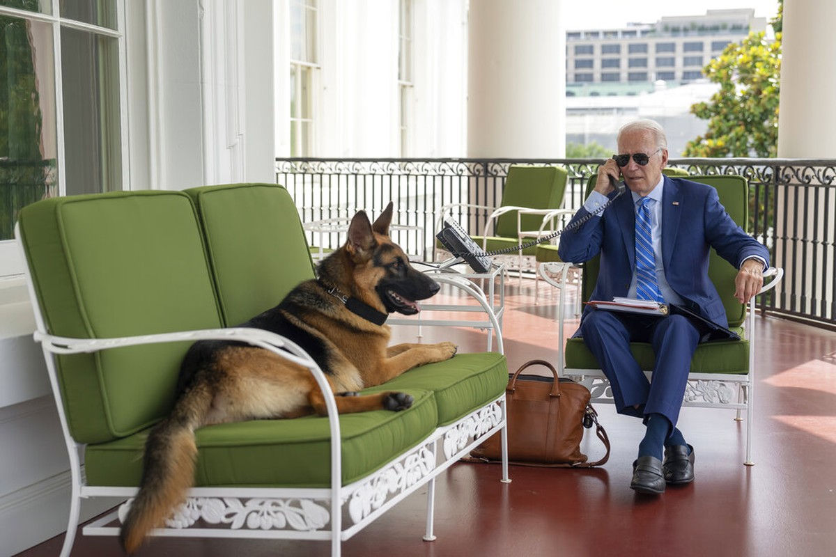 Joe Bidens Hund wurde aus dem Weißen Haus „geworfen“, nachdem er einen Secret-Service-Agenten gebissen hatte |  Welt