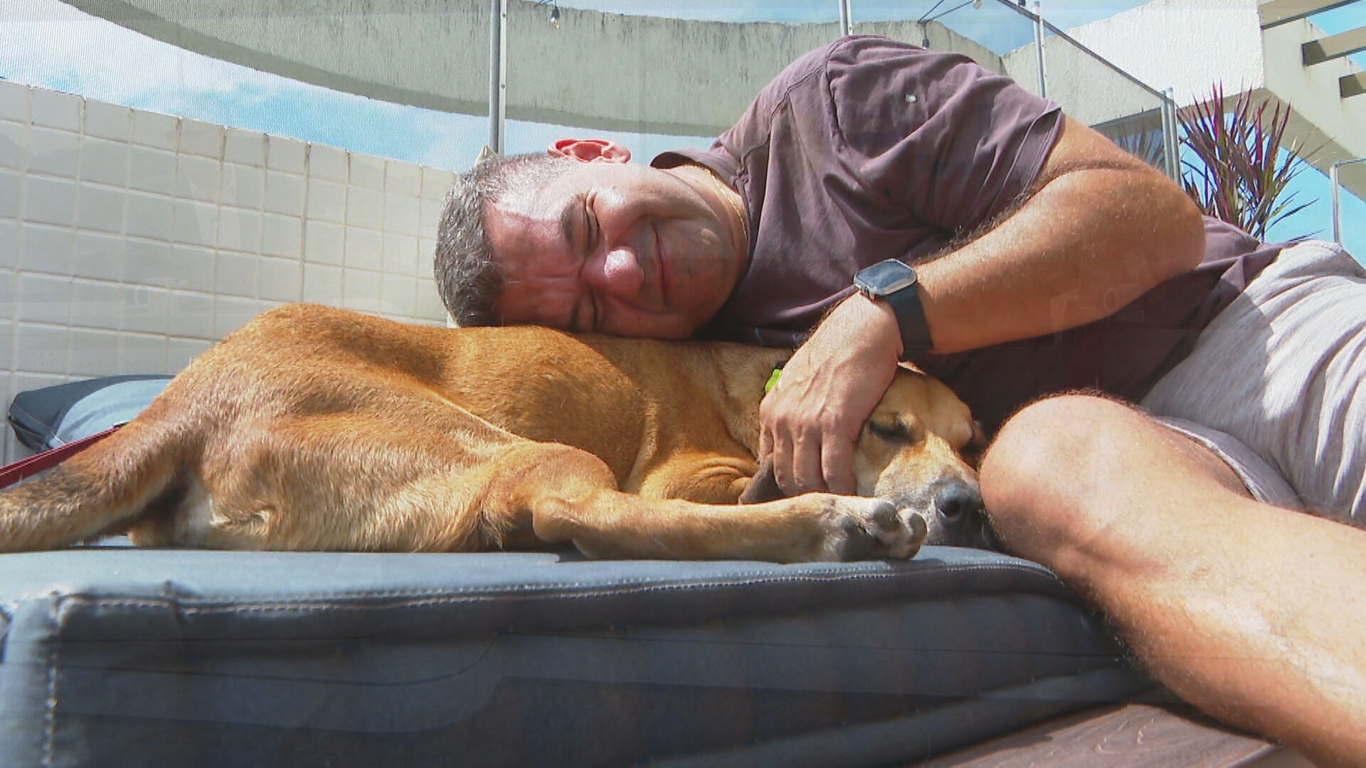 Cachorro abandonado que andava de BRT é adotado e ganha nome de ‘Busão’