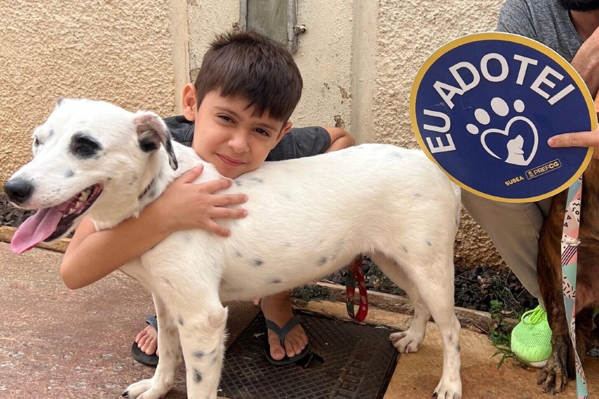 Feira de adoção em Campo Grande tem cães resgatados de maus-tratos à espera de um lar