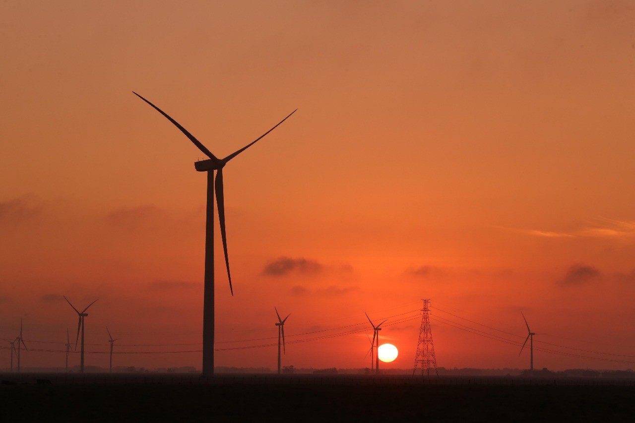 Energia eólica vive crise, mas projeta retomada com data centers e expansão no mar