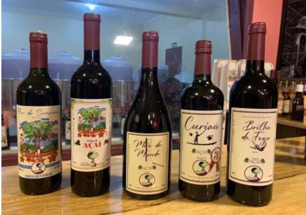Especialista em vinhos aprova o açaí tinto do Amapá: "É uma bebida ...