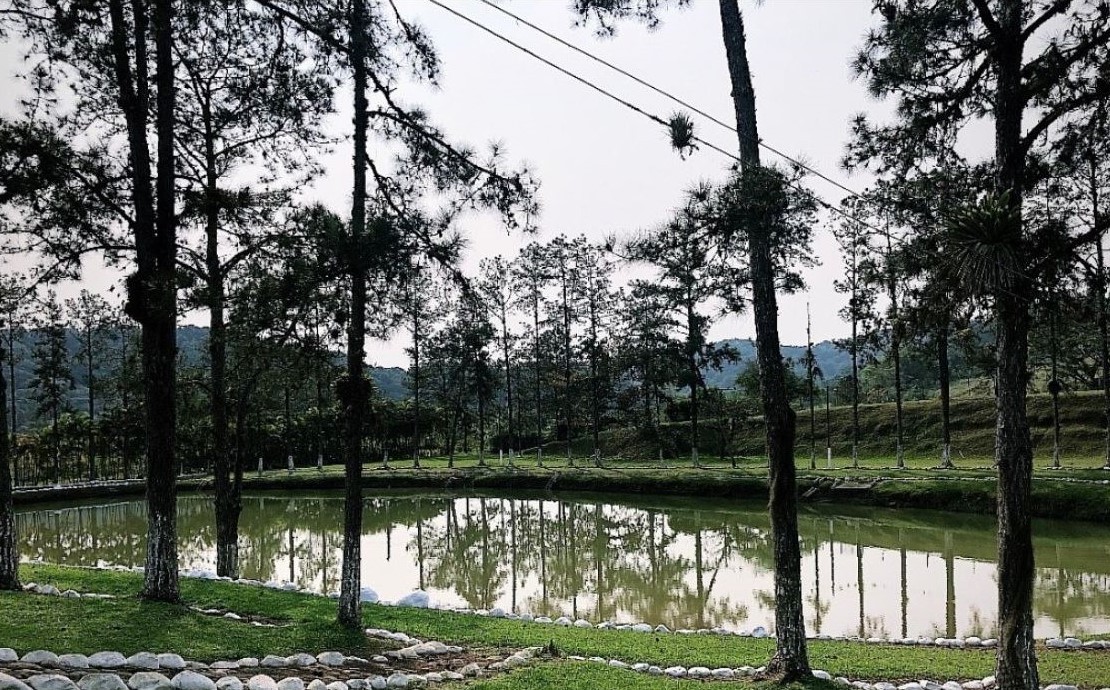Fazenda que foi de Pelé está à venda em Juquiá (SP) — Foto: Casa Morumbi Imóveis