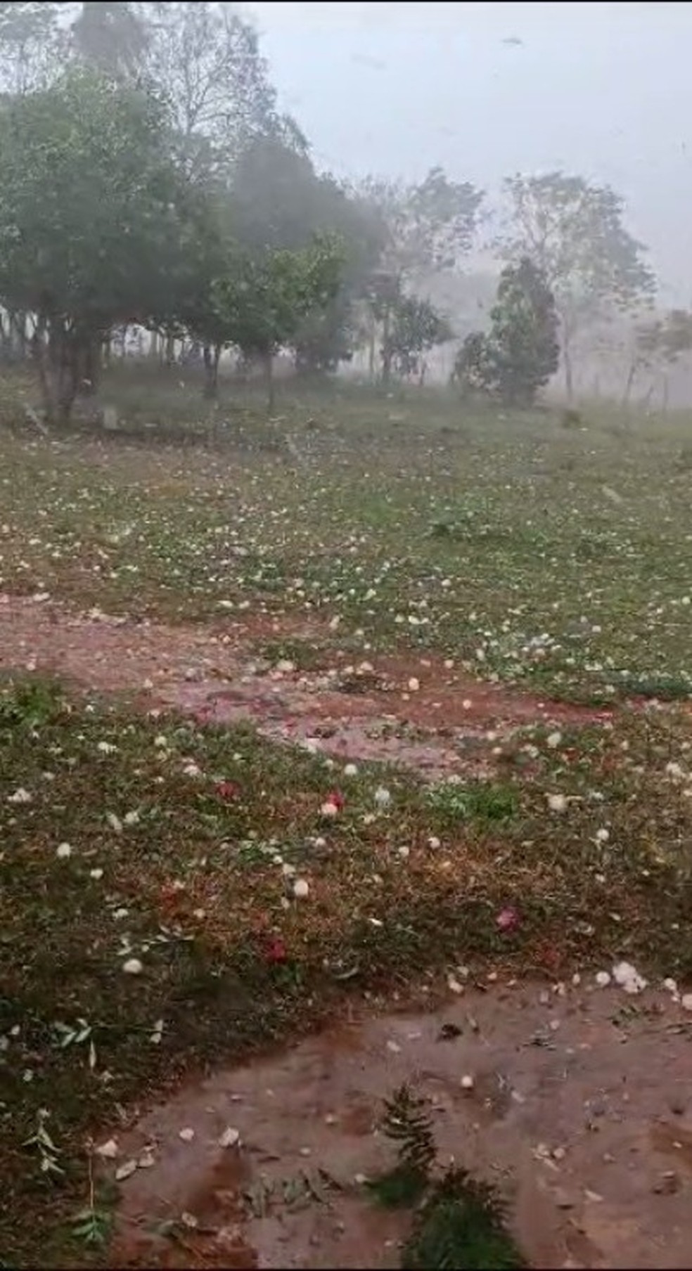 Granizo em Rio Verde de Mato Grosso (MS). — Foto: Reprodução