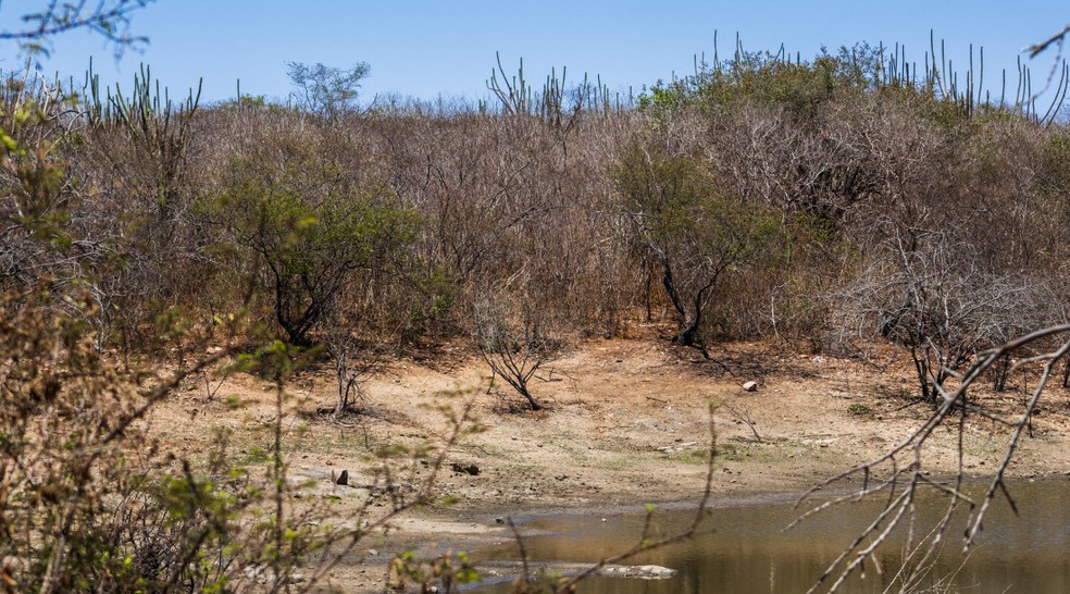 Seca em Sergipe — Foto: Arthuro Paganini/ ASN