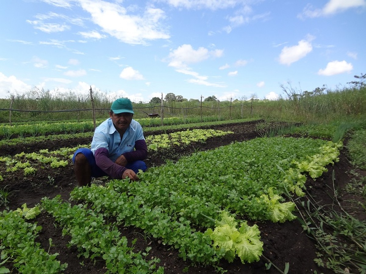 Agricultura familiar corresponde a quase metade da produção agrícola da ...