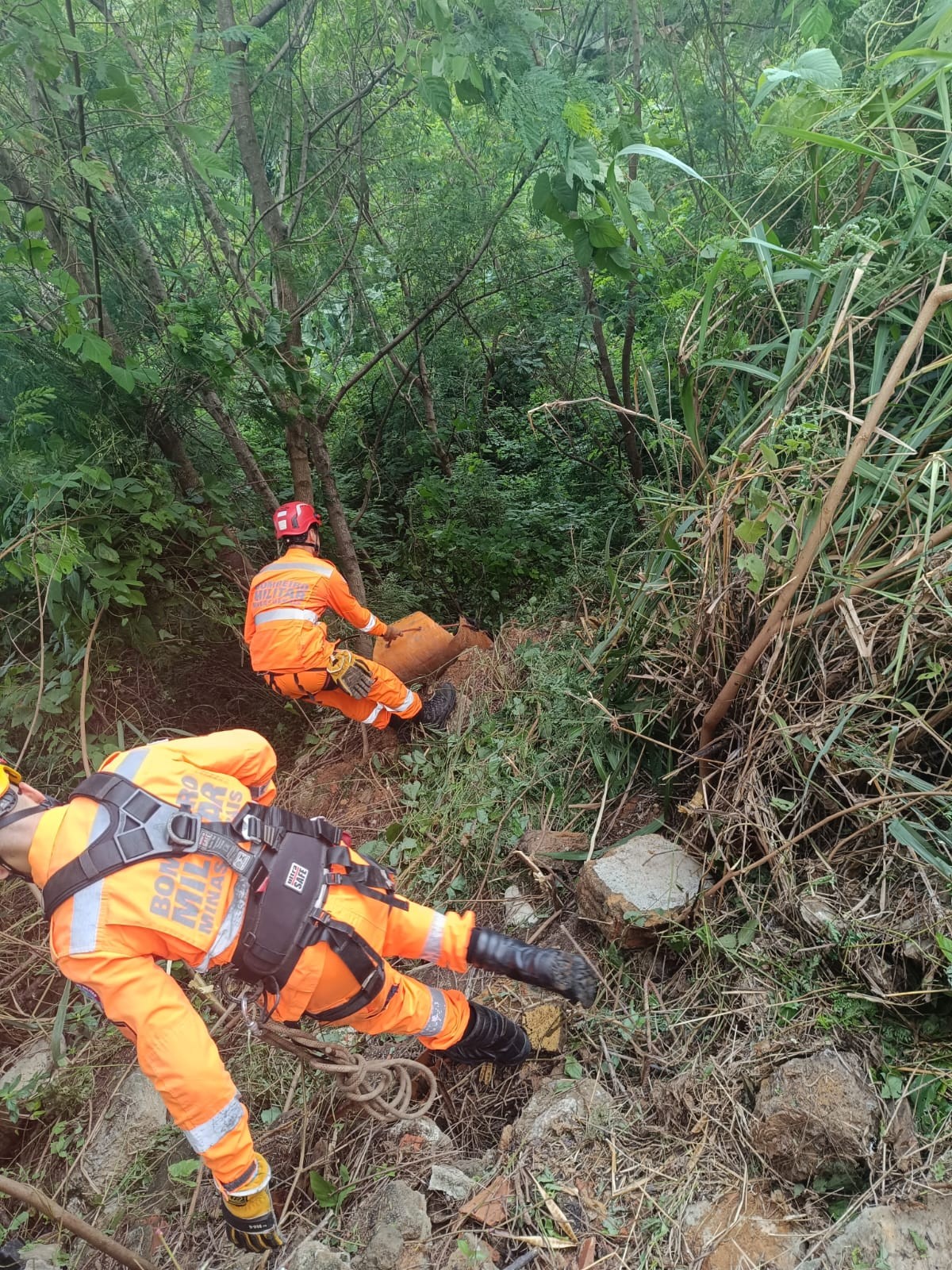 Idoso desaparecido há 7 dias é encontrado com vida em Timóteo