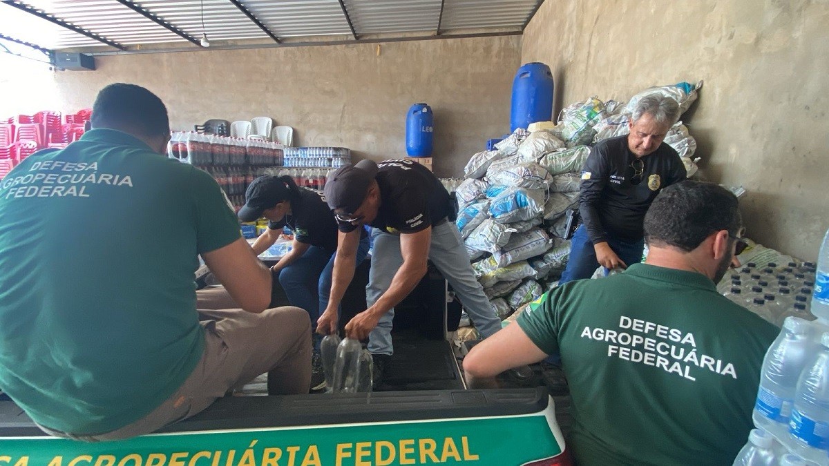 Operação fecha fábrica clandestina de cachaça e apreende dezenas de litros de bebidas alcoólicas sem registro