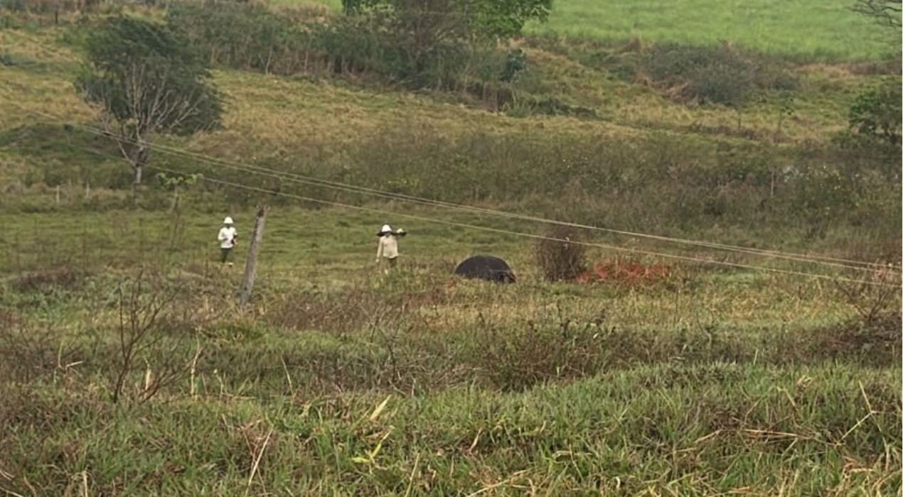 Temporal provoca morte de quatro vacas eletrocutadas e causa estragos na região de Rio Preto
