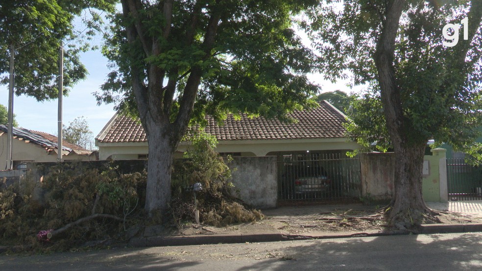 Em briga por herança, homem mata três pessoas da mesma família e deixa dois feridos, dizem Bombeiros — Foto: Reprodução/RPC