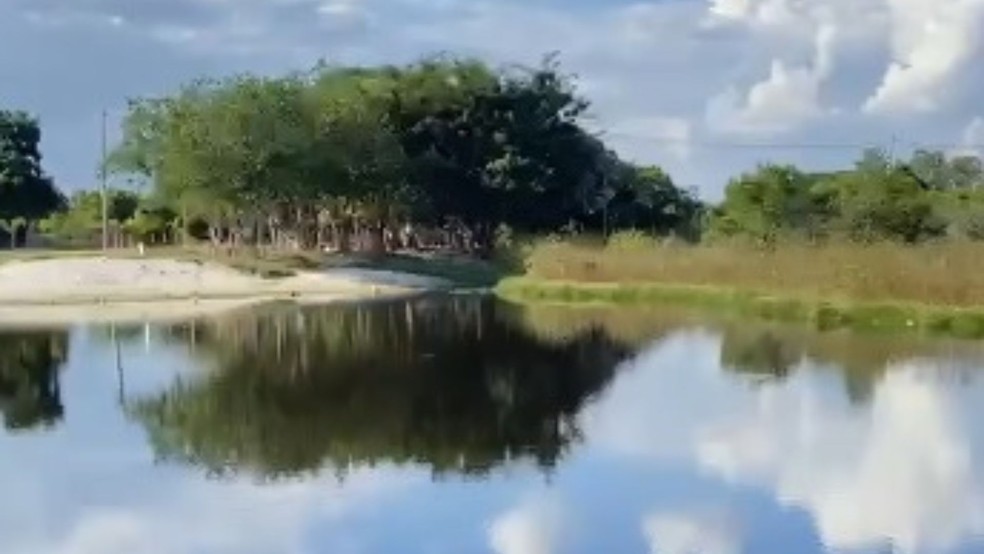 2 de 2
Jacar&eacute; foi flagrado em uma lagoa no bairro da Mina, em Botucatu &mdash; Foto: Andr&eacute; Dias/Arquivo Pessoal