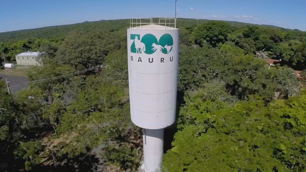 1 de 2
'Zool&oacute;gico municipal &eacute; refer&ecirc;ncia em reprodu&ccedil;&atilde;o de esp&eacute;cies em extin&ccedil;&atilde;o &mdash; Foto: TV TEM