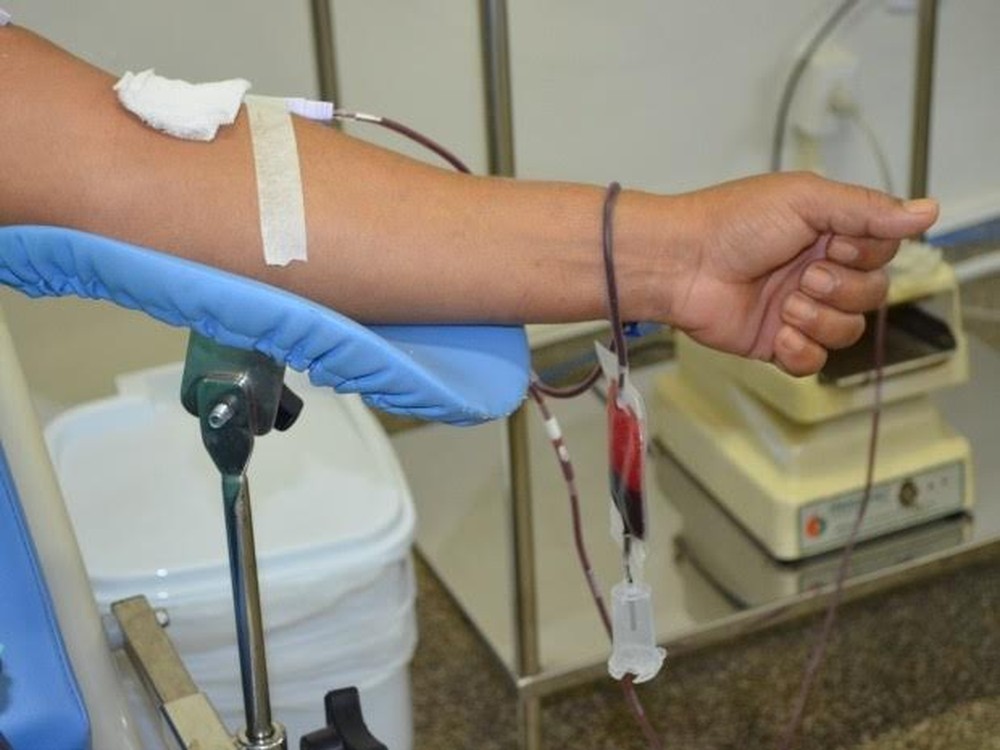 Banco de Sangue de São José registra aumento de transfusão por conta da alta de casos de dengue 