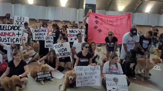 Cão Joca: tutores de pets e membros de ONGs protestam no Aeroporto de Salvador pela morte do golden retriever