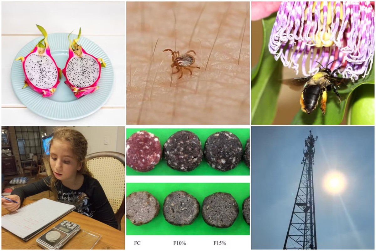 Cientista mirim, hamburguer de grilo e 5G: relembre o que foi notícia sobre ciência e tecnologia na região de Piracicaba em 2023 | Piracicaba e Região