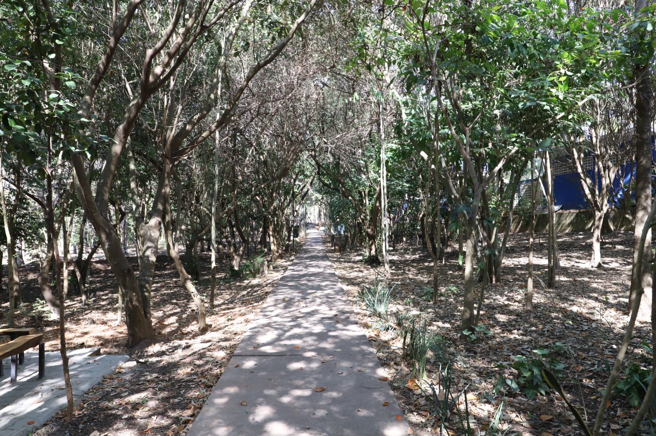 Você Não Tá Convidada pro Meu Bat Mitzvá!