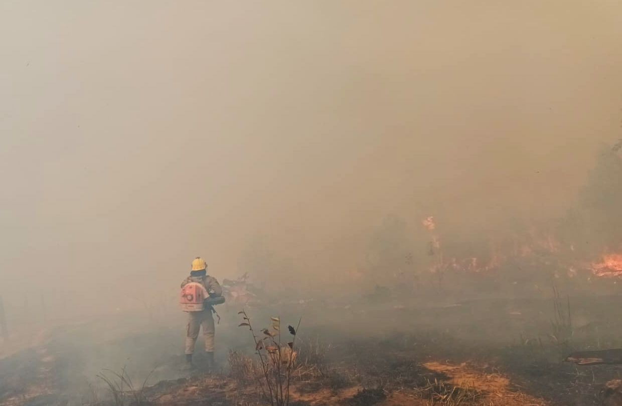 No dia da Amazônia, AM tem alerta para baixa umidade do ar, alerta Inmet