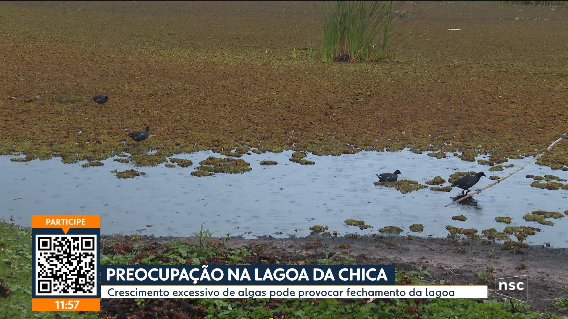 VÍDEOS: Jornal do Almoço Florianópolis de quarta-feira, 17 de junho de 2026