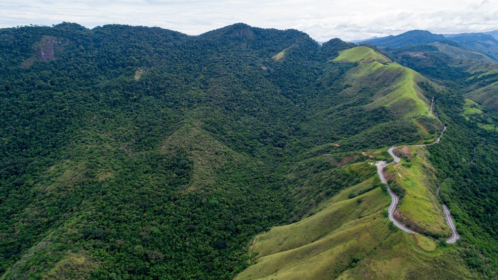 O maior Parque dos Dinossauros do mundo será inaugurado em 2022, Especial  Publicitário - Serra Azul MP