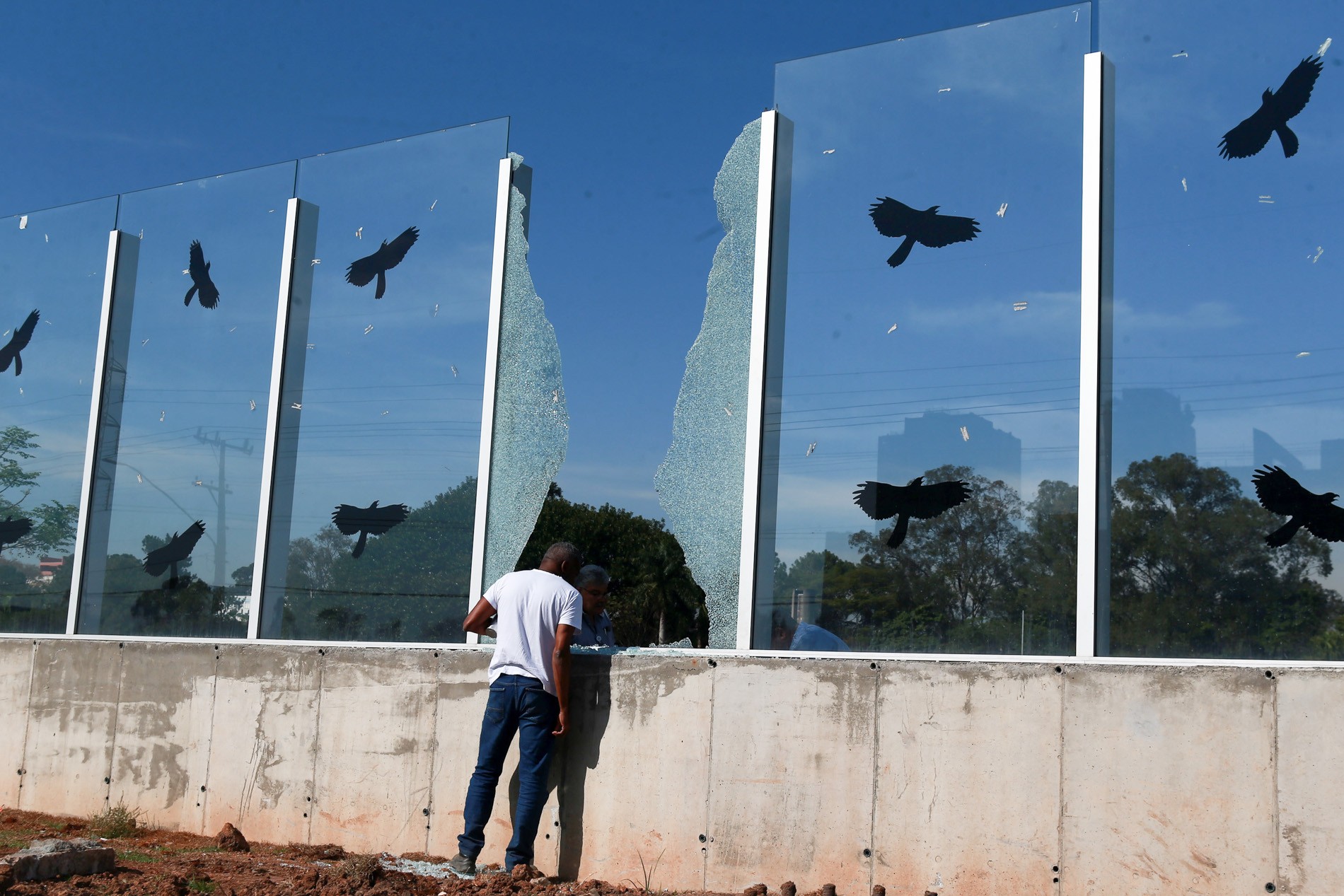 USP vai demolir muro da raia olímpica na Marginal Pinheiros; no lugar será criado 'corredor verde'