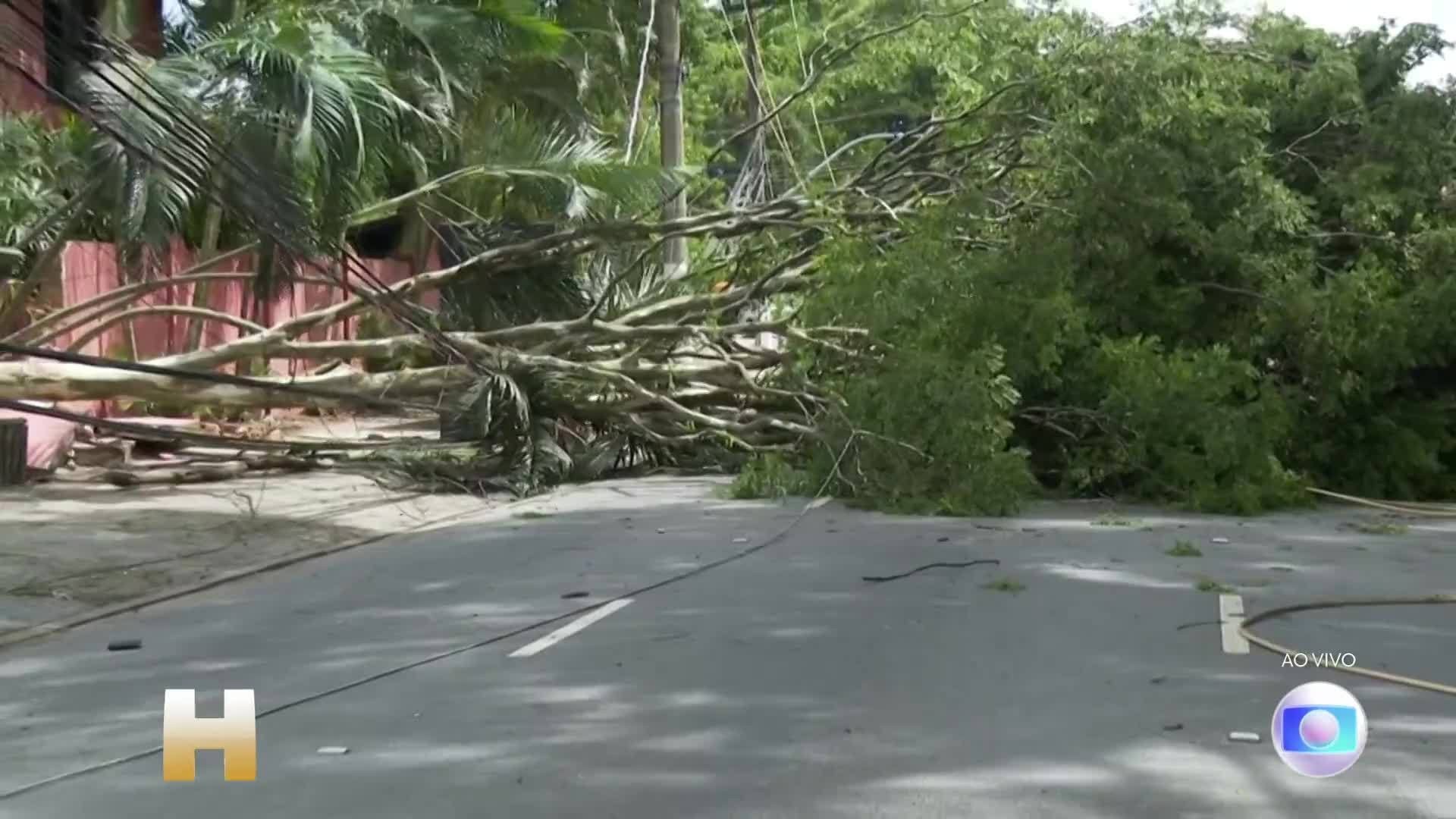 VÍDEOS: Jornal Hoje de sábado, 04 de novembro de 2023