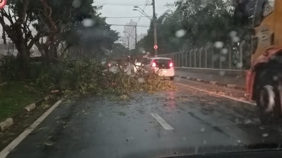 Galhos de árvores caídos na Av. Heitor Penteado, no Taquaral, durante o temporal desta quarta (4) em Campinas (SP) — Foto: Abner Morais