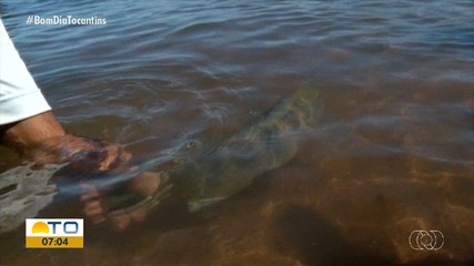 Naturatins lança operação que marca o início da piracema